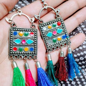 Bohot Oxidised Multicolour Earrings✨💐