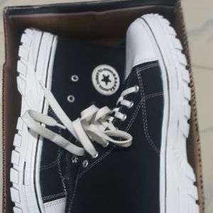 Converse Shoe