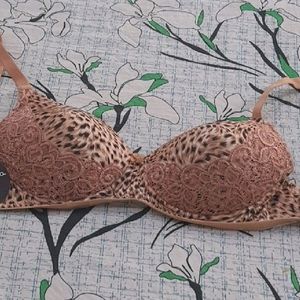 Clovia New Padded Bra