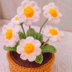 Crochet 6 Flower Pot