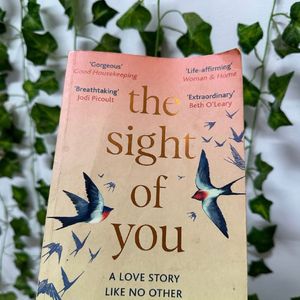 The sight of you + Bad Luck and Trouble (2 books)