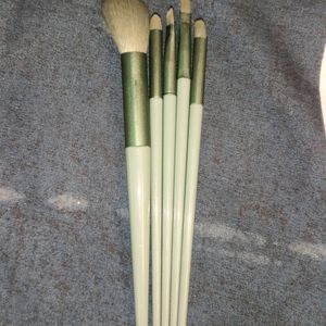 Brand New Makeup Brushes