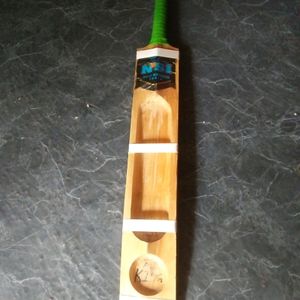 Kashmir Willow Bat