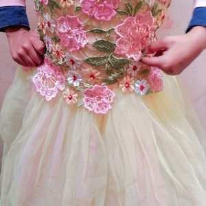 Beautiful Colorful Gown For Girls