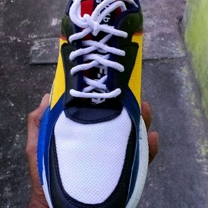 Stylish Multicolor Shoe For Men