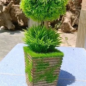 Artificial Plant