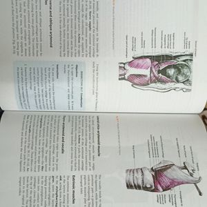 Cunningham Manual Of Practical Anatomy