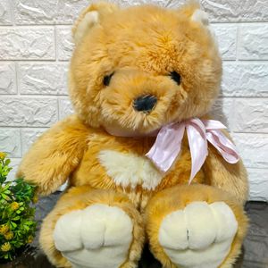 Cute Teddy Bear 🧸