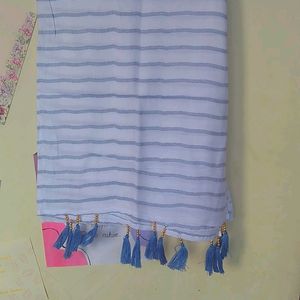 Navy Blue Stripe On White Background Dupatta