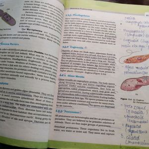 CLASS 11 NCERT PCB BOOK SET