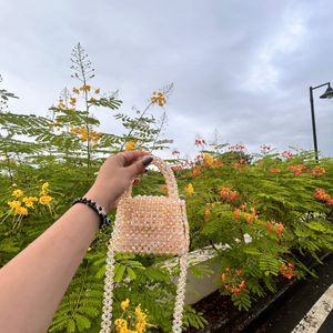 Today’s Offer Price Drop Beaded Bag