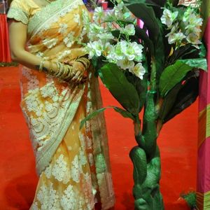 Party Wear saree