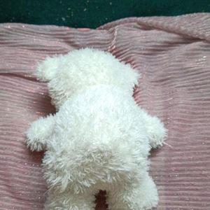 Teddy Soft Toy