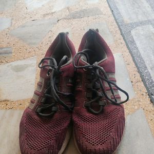 Maroon casual sports shoe.