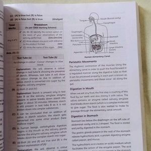 Cbse Class 10 Question Bank Science Chapter Wise