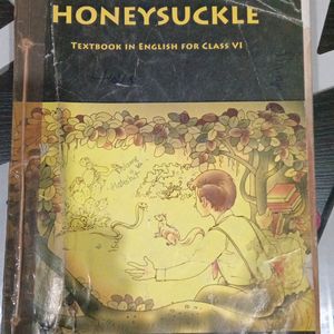 English HoneySuckle Textbook For Class VI