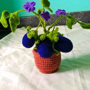 Crochet Handmade Combo