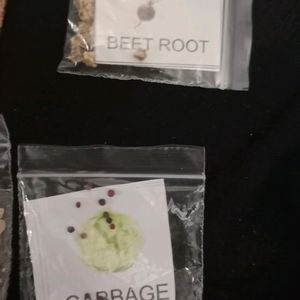 5 Vegatble Seeds