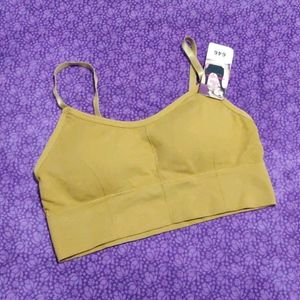 Non Wired Padded Sports Bra