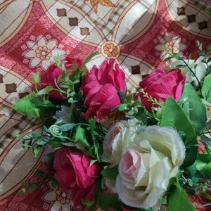 Two,Pot Flowers Set Bunches