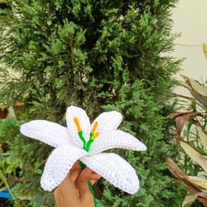 crochet lily