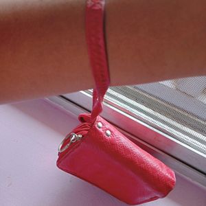 Hand Purse