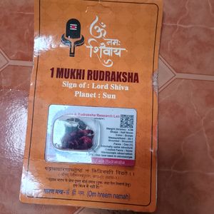 1 Face Mukhi Original Rudraksha Shiv G