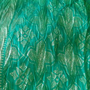 New Green Crush Pichwai Print Saree