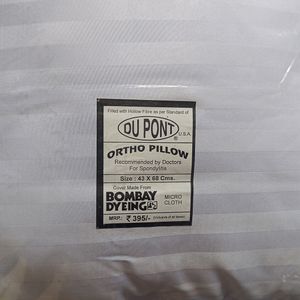 2 Pc Bombay Dyeing Pillow