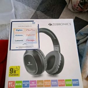 Zibronics Headphones