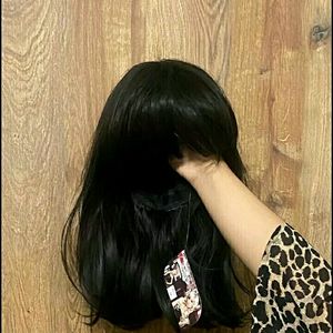 Brand New Full Head Wig With Box