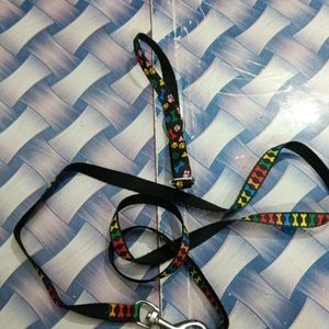 Cat for Training leash And Collar Set