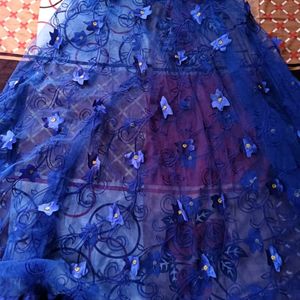 Butterfly over Net Fabric Lehenga