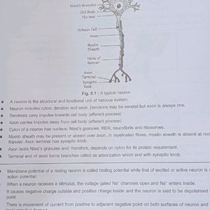 Diagram Book Of Zoology And Botany For Neet