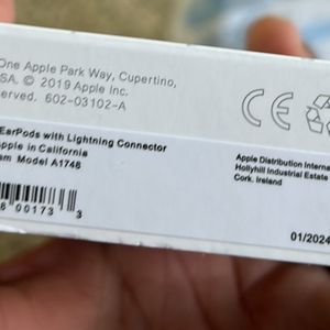 Original Apple Earpods Lightning Pin