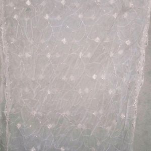 Dupatta Organza