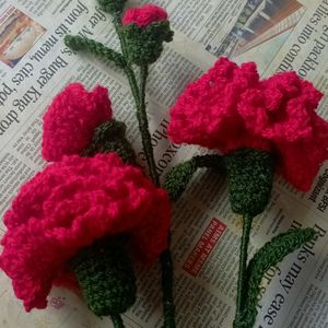 Handmade Crochet Bouquet Of Carnations