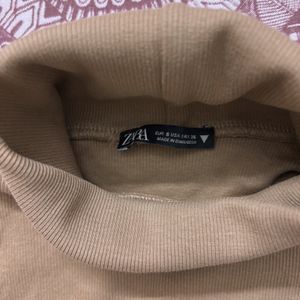 Zara Turtleneck Fitted Soft Ribbed Top