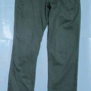 NETPLAY Olive Coloured Stylish Pant