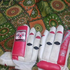 Virlok Cricket Batting Gloves