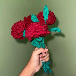 Carnation Flowers With Leaf Stem