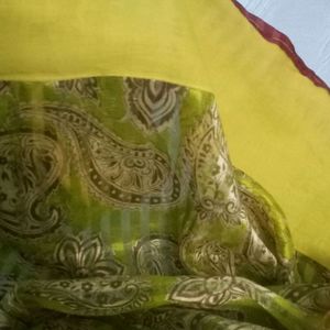 Lime Green Saree