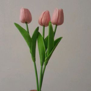 Pink Tulips Vase Combo