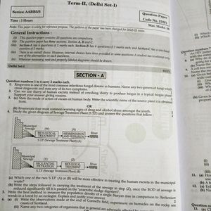 Oswaal Biology Set Of Sample Question Paper