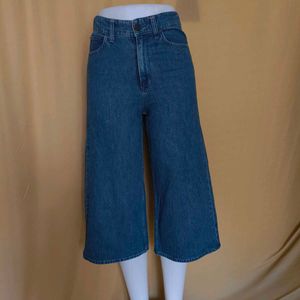 Uniqlo Jeans Pant