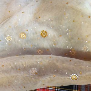 Net Dupatta With Stone Work