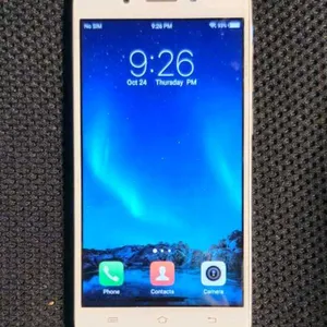 Vivo Y55s