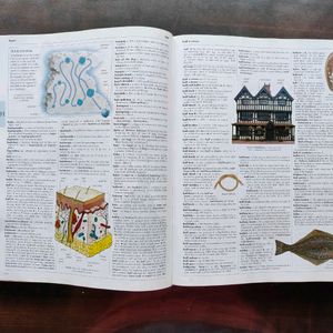 Illustrated Oxford Dictionary