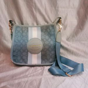 Aesthetic Coach Blue Leather Sling Bag