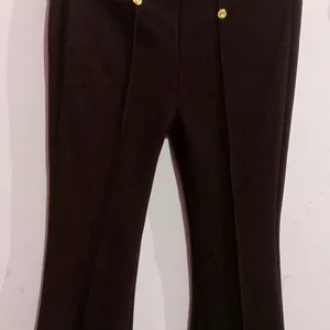 Wine Colour Trouser